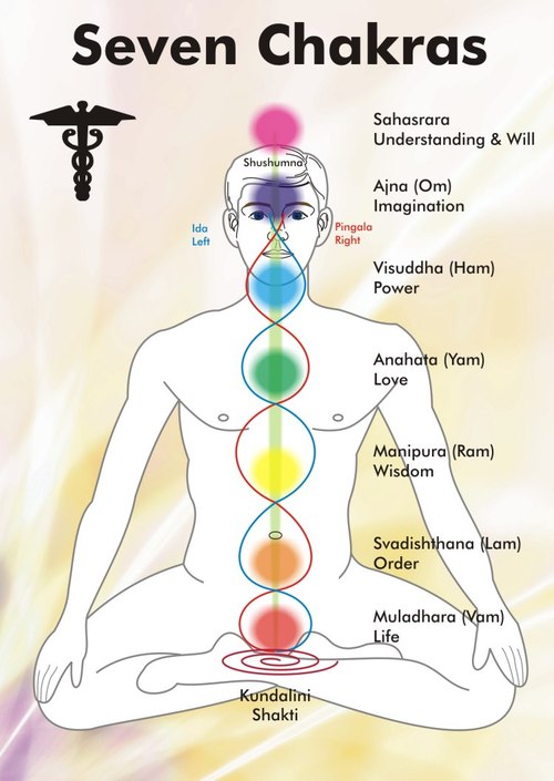 siete chakras del cuerpo