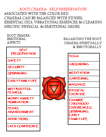 1 chakra raiz